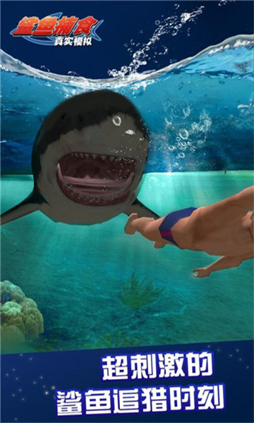 真实模拟鲨鱼捕食手机版